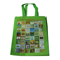 荆州LB11覆膜无纺布广告袋